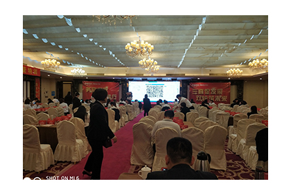 培訓(xùn)會(huì)場(chǎng)地布置 會(huì)場(chǎng)設(shè)計(jì)